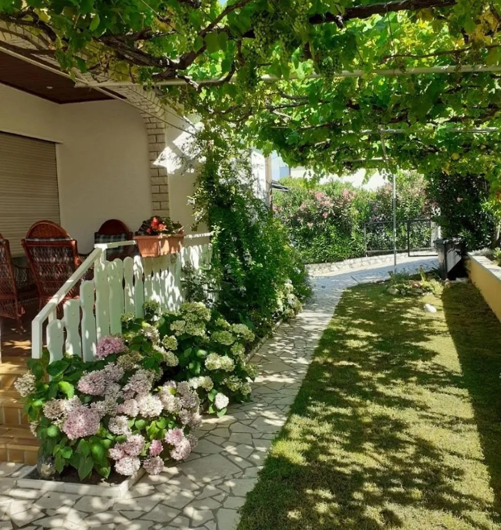 Apartments Ani Supetarska Draga